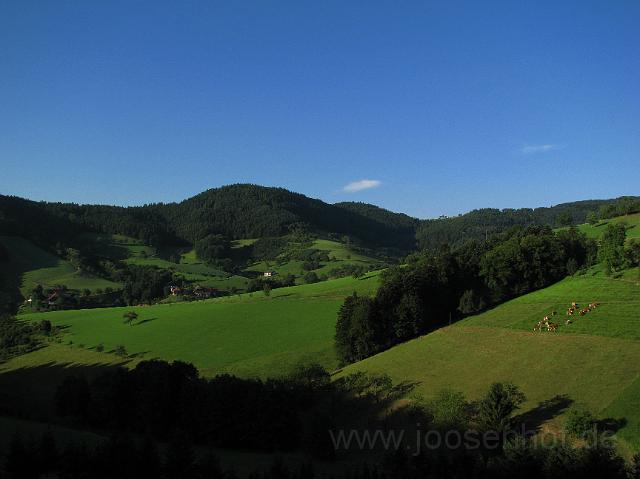 Sommer im Tal.JPG